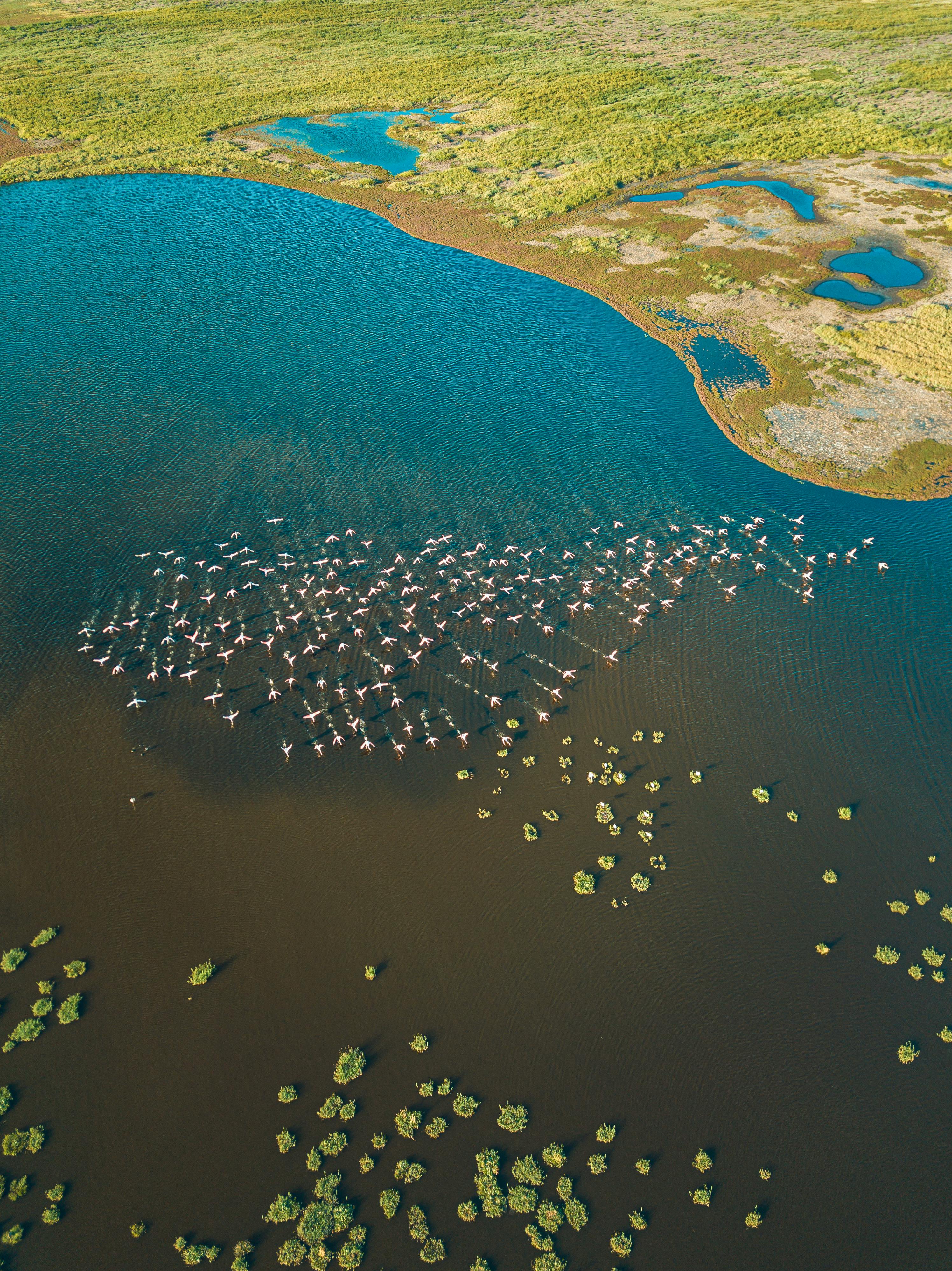 Okavango Delta